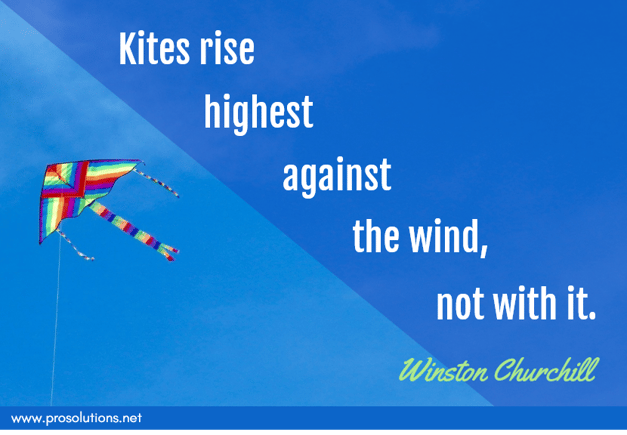 ProSolutions - Kites Rise Highest.png
