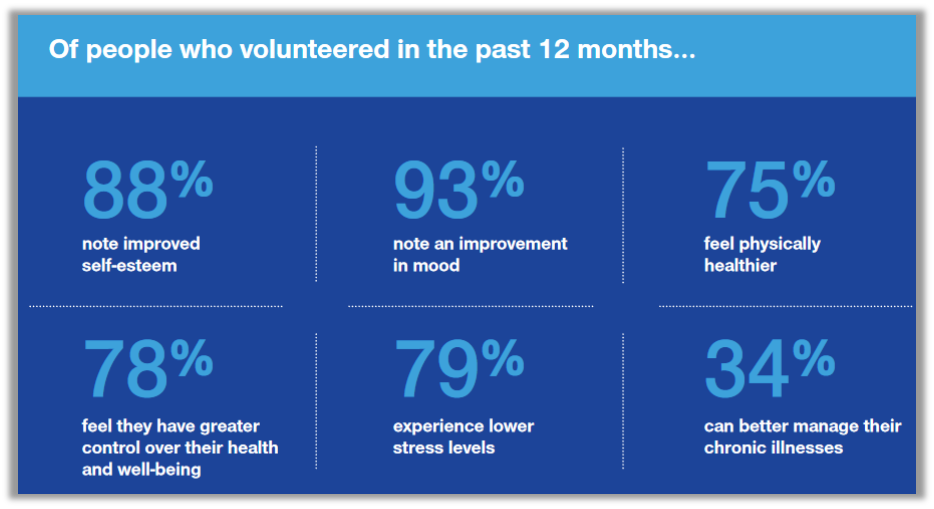 Volunteer Dollar Value 2024 Chart - Kathi Maurise